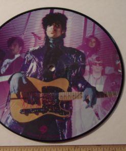 D-213 PRINCE Picture Record