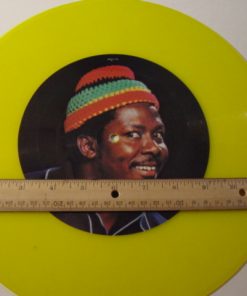 D-221 ONLY 12" Picture Record