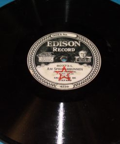 D-256 EDISON Diamond Disc Record #80773