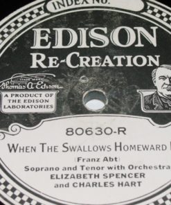 D-257 EDISON Diamond Disc Record #80630