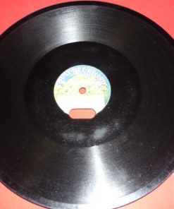 DR-001 Busy-Bee 10" Record #5028 "DIE WACHT AM RHEIN"
