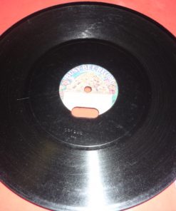 DR-002 Busy-Bee 10" Record #1245 "N....R LOVES HIS 'POSSUM"