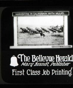 M-261 Advertising Slide for 1920's Projector